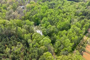 319 River Valley Rd, Dawsonville, GA 30534 - Photo 64