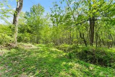 319 River Valley Road, Dawsonville, GA 30534 - Photo 58