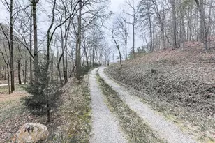 144 Banner Cir, Ellijay, GA 30540 - Photo 36