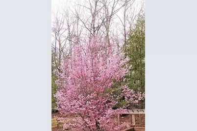 1399 Old Parker Place Road, Ellijay, GA 30536 - Photo 66