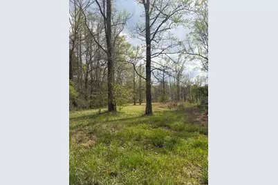 54 Coppermine Road, Buchanan, GA 30113 - Photo 1