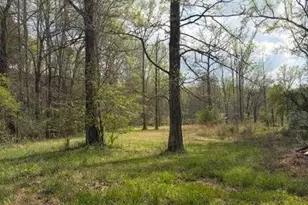 54 Coppermine Rd, Buchanan, GA 30113 - Photo 1
