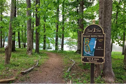 300 Fairview Court, Jasper, GA 30143 - Photo 46