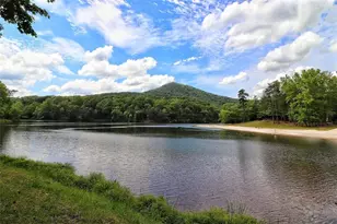 300 Fairview Ct, Jasper, GA 30143 - Photo 32