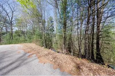 0 Laurel Trail, Suches, GA 30572 - Photo 6