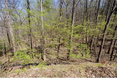 0 Laurel Trail, Suches, GA 30572 - Photo 10