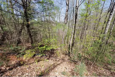 0 Laurel Trail, Suches, GA 30572 - Photo 4