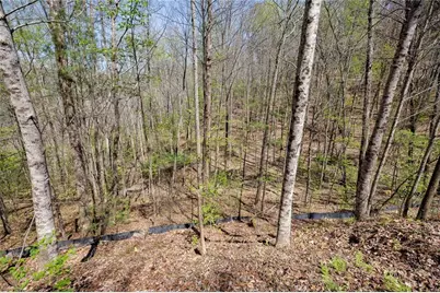 0 Laurel Trail, Suches, GA 30572 - Photo 8