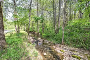 613 Hall Station Rd, Kingston, GA 30145 - Photo 76