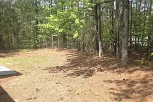 11013 Clearwater Dr, Hampton, GA 30228 - Photo 2