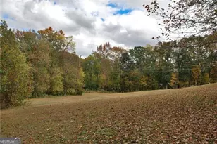 4271 Panthersville Rd, Ellenwood, GA 30294 - Photo 32