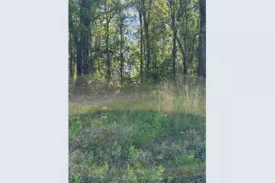 815 Aj Irvin Road, Talmo, GA 30575 - Photo 6
