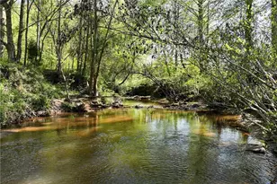 1197 Dee Kennedy Rd, Auburn, GA 30011 - Photo 80