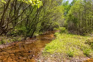 302 Pine Lake Dr, Cumming, GA 30040 - Photo 52