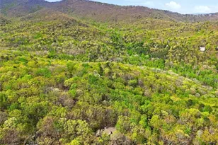 3847 Wilderness, Jasper, GA 30143 - Photo 38