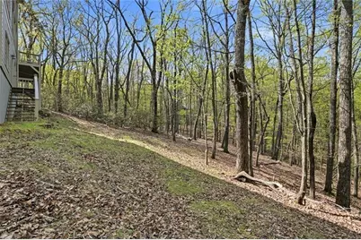 3847 Wilderness, Jasper, GA 30143 - Photo 36