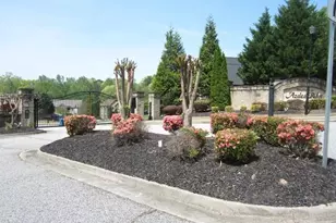 1321 Azalea Brook Dr, Lawrenceville, GA 30043 - Photo 6
