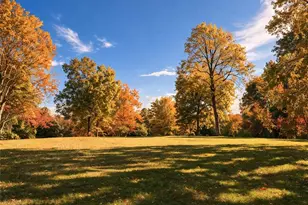 664 Chenocetah Dr, Cornelia, GA 30531 - Photo 52