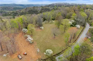 664 Chenocetah Dr, Cornelia, GA 30531 - Photo 48