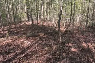 0 Heatherwood Way, Talking Rock, GA 30175 - Photo 1