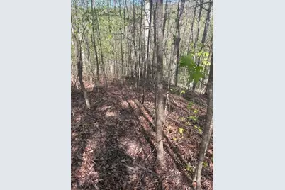 0 Heatherwood Way, Talking Rock, GA 30175 - Photo 2