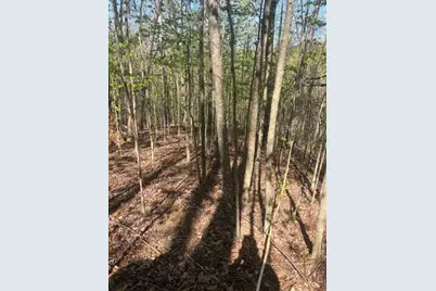 0 Heatherwood Way, Talking Rock, GA 30175 - Photo 4