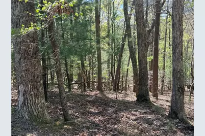 812 Horse Cove Court, Jasper, GA 30143 - Photo 6