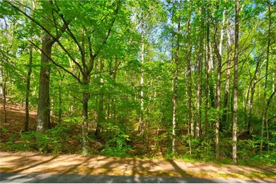 4033 Hidden Hollow Drive, Gainesville, GA 30506 - Photo 8