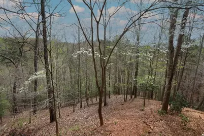 120 Bear Den Road, Dahlonega, GA 30533 - Photo 54