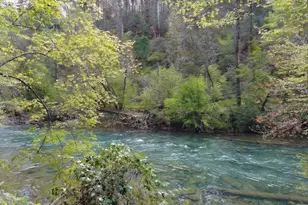 120 Bear Den Rd, Dahlonega, GA 30533 - Photo 6