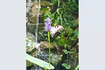 7451 Shady Glen Drive, Flowery Branch, GA 30542 - Photo 6