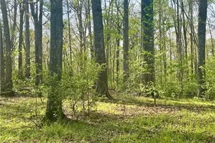 12005A Hutcheson Ferry Rd, Palmetto, GA 30268 - Photo 38