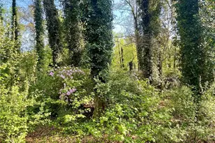 12005A Hutcheson Ferry Rd, Palmetto, GA 30268 - Photo 50