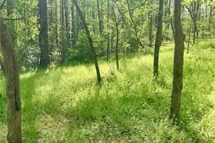 12005A Hutcheson Ferry Rd, Palmetto, GA 30268 - Photo 40