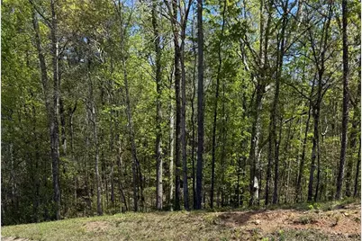 0 US Hwy 27, Bremen, GA 30113 - Photo 1