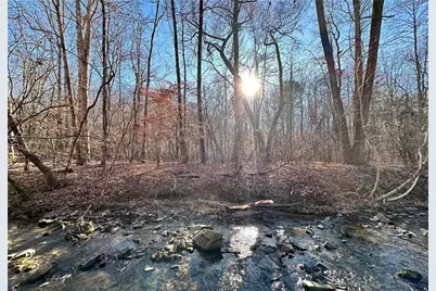 8555 Woodland Brooke Trail, Cumming, GA 30028 - Photo 14