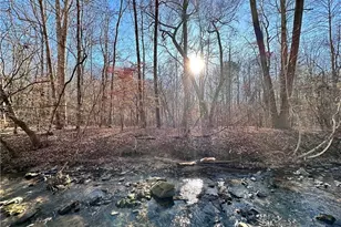 8555 Woodland Brooke Trail, Cumming, GA 30028 - Photo 14