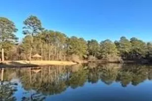 8555 Woodland Brooke Trail, Cumming, GA 30028 - Photo 38