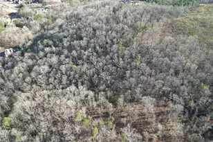 8555 Woodland Brooke Trail, Cumming, GA 30028 - Photo 34