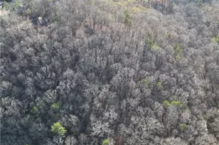 8555 Woodland Brooke Trail, Cumming, GA 30028 - Photo 36