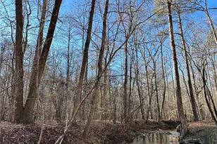 8555 Woodland Brooke Trail, Cumming, GA 30028 - Photo 2