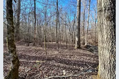 8555 Woodland Brooke Trail, Cumming, GA 30028 - Photo 20