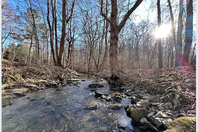 8555 Woodland Brooke Trail, Cumming, GA 30028 - Photo 4