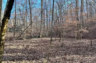 8555 Woodland Brooke Trail, Cumming, GA 30028 - Photo 24