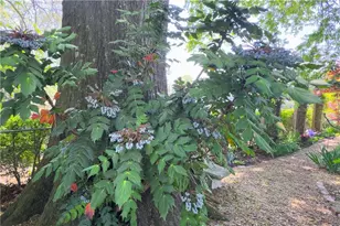 512 Williamsburg Dr, Dalton, GA 30720 - Photo 32