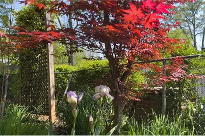 512 Williamsburg Drive, Dalton, GA 30720 - Photo 10