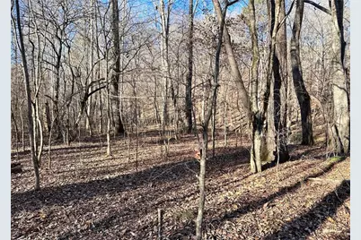 8555 Woodland Brooke Trail, Cumming, GA 30028 - Photo 22