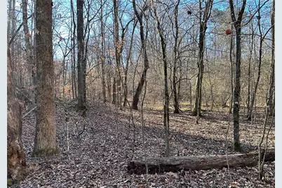 8555 Woodland Brooke Trail, Cumming, GA 30028 - Photo 26