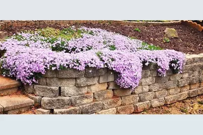 5564 Elderberry, Flowery Branch, GA 30542 - Photo 38