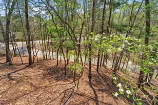 1858 Newport Dr, Ellijay, GA 30540 - Photo 42